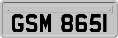 GSM8651