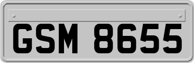 GSM8655