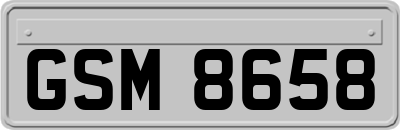 GSM8658