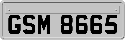 GSM8665