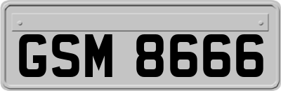 GSM8666