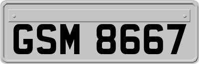 GSM8667