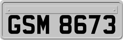 GSM8673