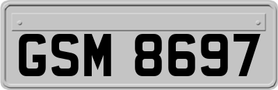 GSM8697