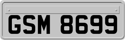 GSM8699
