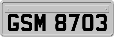 GSM8703