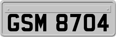 GSM8704