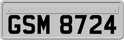 GSM8724