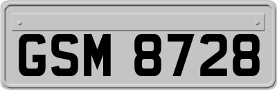 GSM8728