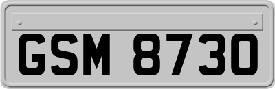 GSM8730