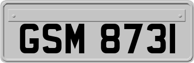 GSM8731