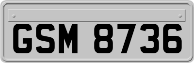 GSM8736