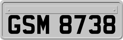 GSM8738