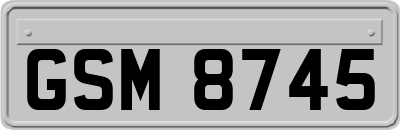 GSM8745