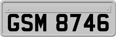 GSM8746