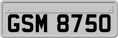 GSM8750