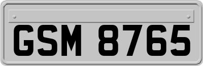 GSM8765