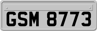 GSM8773