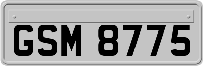 GSM8775