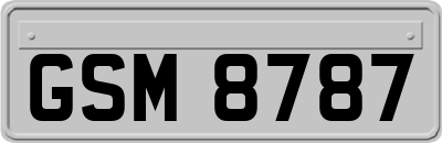 GSM8787