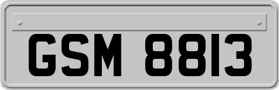 GSM8813
