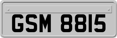 GSM8815