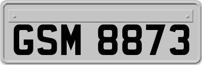GSM8873