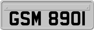 GSM8901