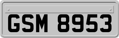 GSM8953