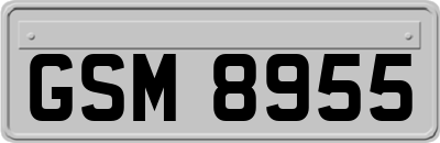 GSM8955