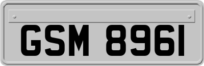GSM8961