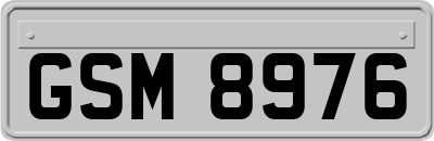 GSM8976