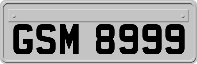 GSM8999