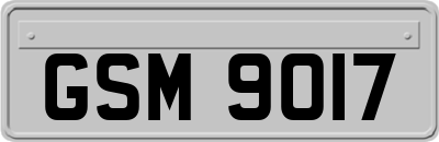 GSM9017