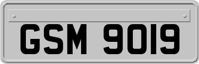 GSM9019