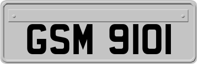 GSM9101