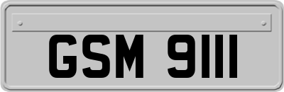 GSM9111