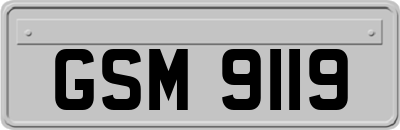 GSM9119