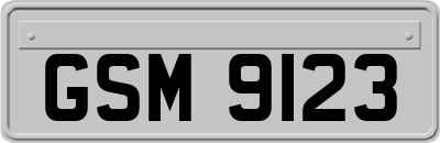 GSM9123