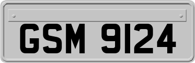 GSM9124