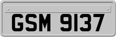 GSM9137
