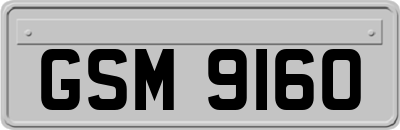 GSM9160