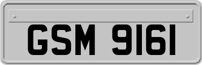 GSM9161
