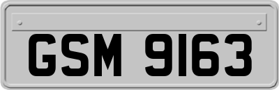 GSM9163