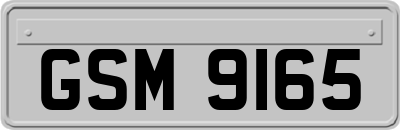 GSM9165