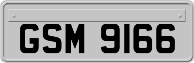 GSM9166