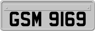 GSM9169