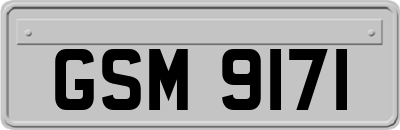 GSM9171