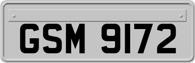 GSM9172