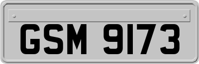 GSM9173